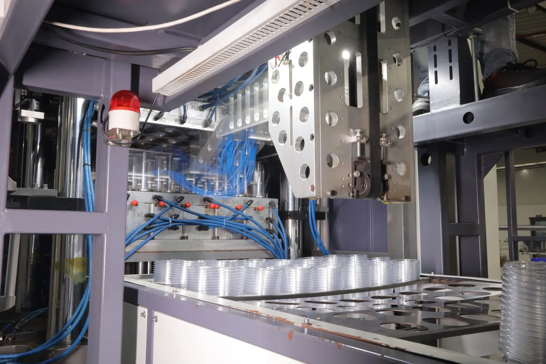 Clear food containers moving through forming equipment